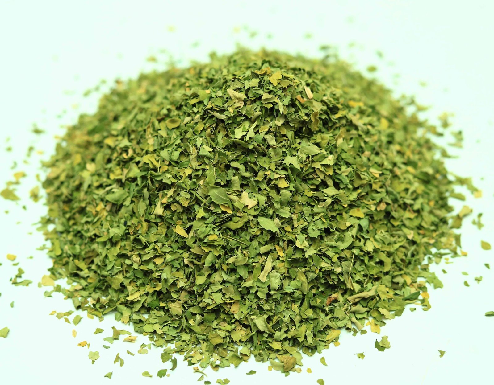 Moringa