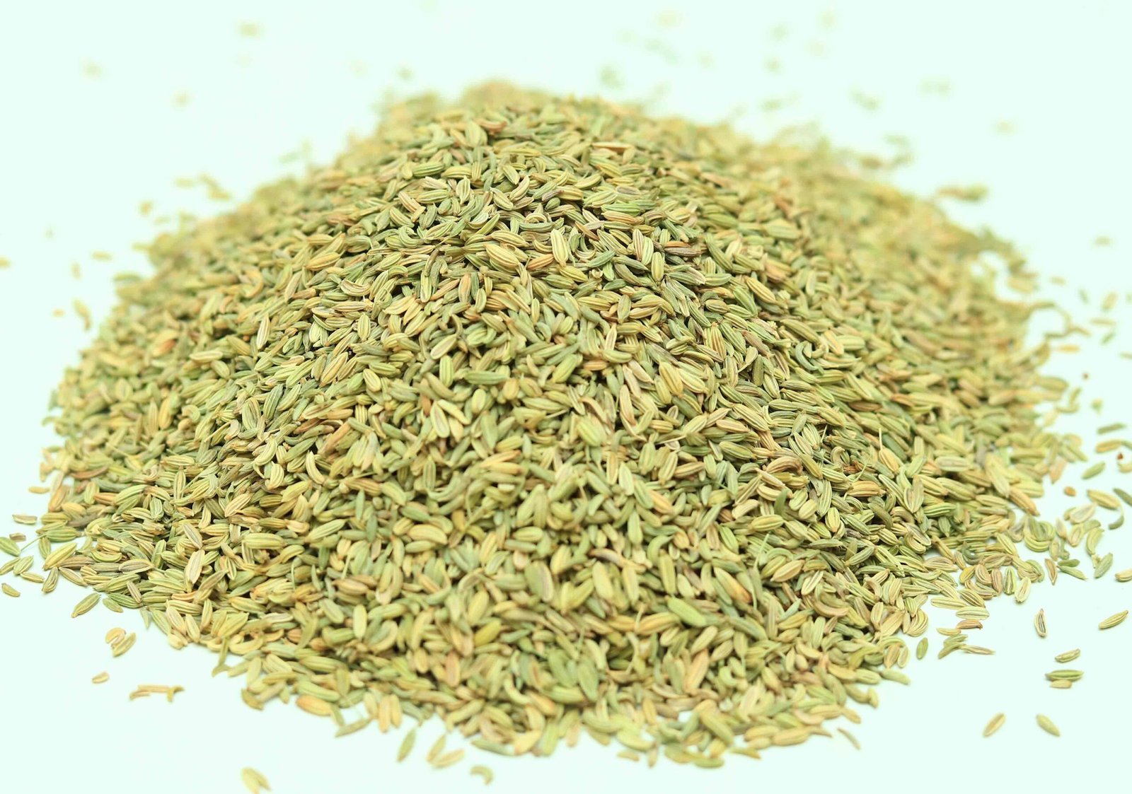 Fennel - Image 6