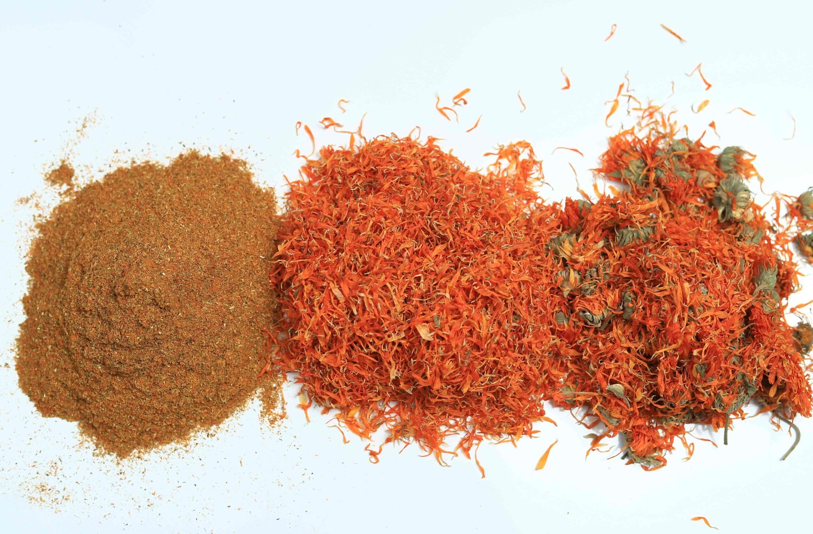 Calendula (Marigold Flower) - Image 4