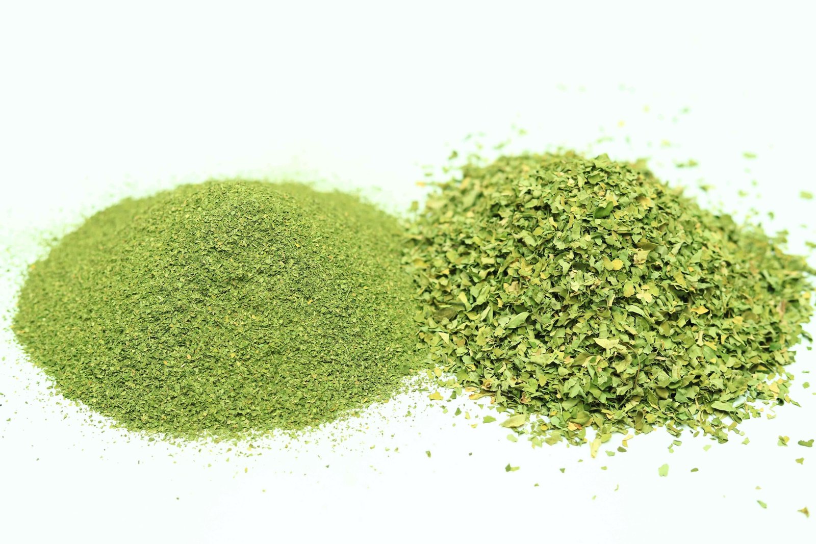 Moringa - Image 3