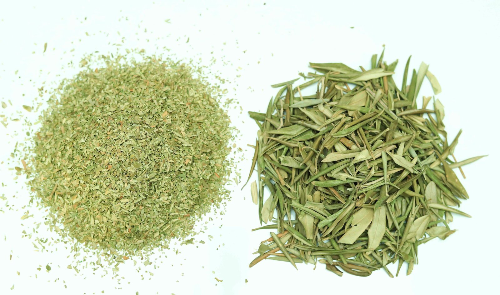 Olive Leaves - Image 3