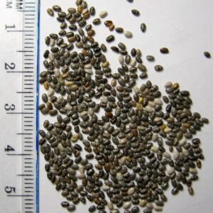 Chia Seeds