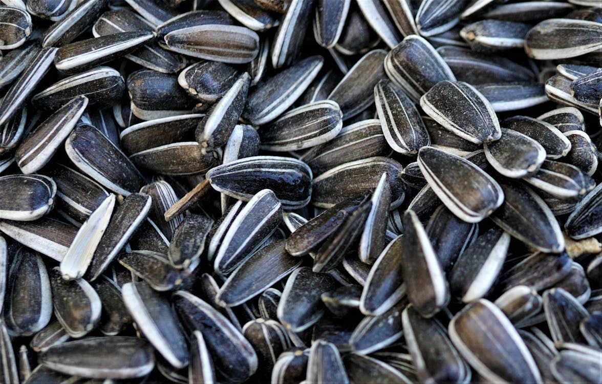Sunflower Seeds